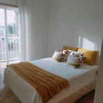 Holidays In Albufeira - Algarve